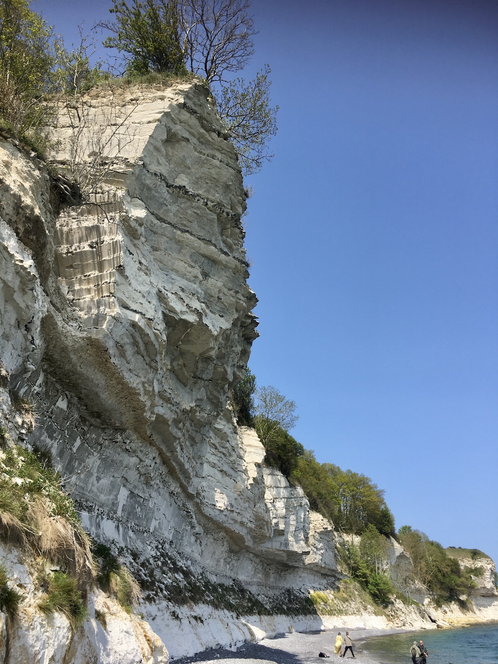 Stevns Klint og strand