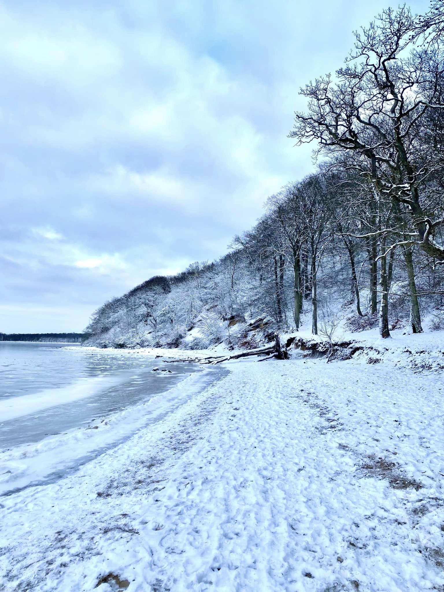 Boserup skov vinter